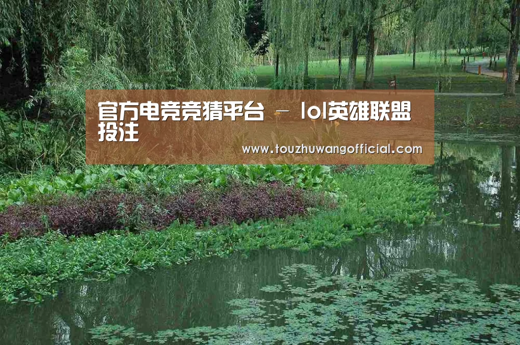 案例展示一(图1)