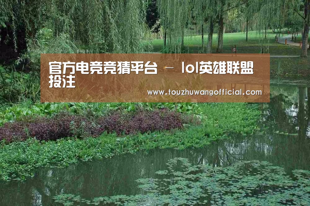 案例展示一