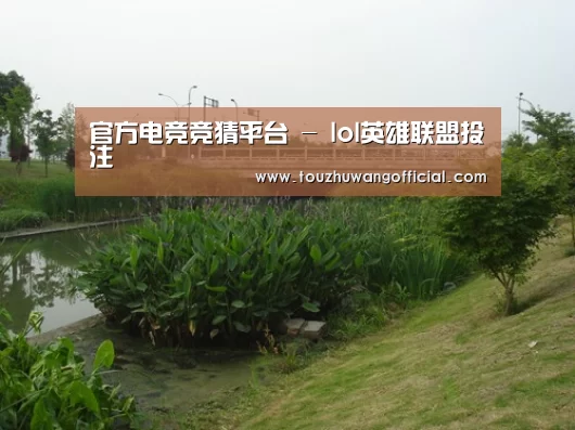 案例展示四