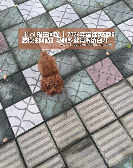 【LoL投注网站 | 2026年最佳英雄联盟投注网站】马村乡教育系统召开“不忘初心、牢记使命”主题教育工作会议(图1) 电竞赛事